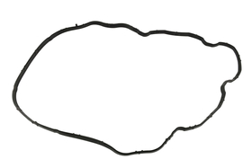 5801484362 USZCZELKA KOLEKTORA IVECO DAILY 06> SSĄCY PLASTIK 2.3JTD 11>