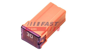 FT11472 AKCESORIA - BEZPIECZNIK KOSTKOWY PAL MAŁY 30A (1 SZT)