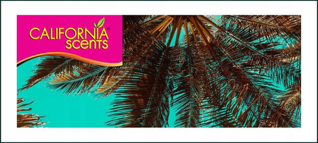 CALIFORNIA SCENTS MONTEREY VANILLA ZAPACH PUSZKA