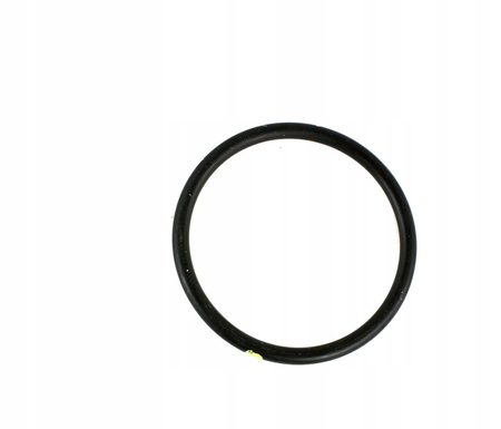 17289680 ORING POMPY WODY MAŁY IVECO DAILY 00- 2.3JTD