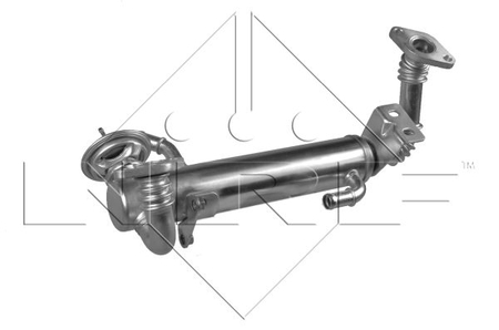 NRF 48217 WYMIENNIK CIEPŁA EGR FIAT DUCATO 06> 2.3 JTD