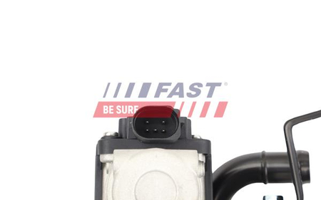 FT10065 ZAWÓR EGR KIA K2500 2.5 CRDi