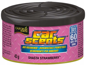 CHK CS 008 CALIFORNIA SCENTS STRAWBERRY ZAPACH PUSZKA