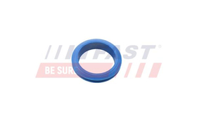 FT48955 ORING FORD TRANSIT CONNECT 02> BAGNET OLEJU 1.8 TDCI