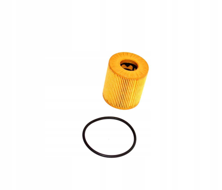 1109.CL FILTR OLEJU CITROEN JUMPER 06> 2.2HDI 06> WKŁAD --> 9818914980