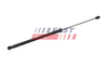 FT00186 SPRĘŻYNA GAZOWA BAGAŻNIKA HATCHBACK HYUNDAI I30 I 2007- 569MM 310N