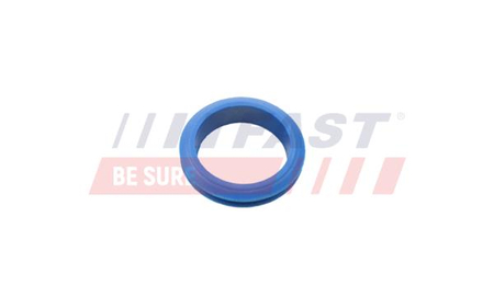 FT48955 ORING FORD TRANSIT CONNECT 02> BAGNET OLEJU 1.8 TDCI