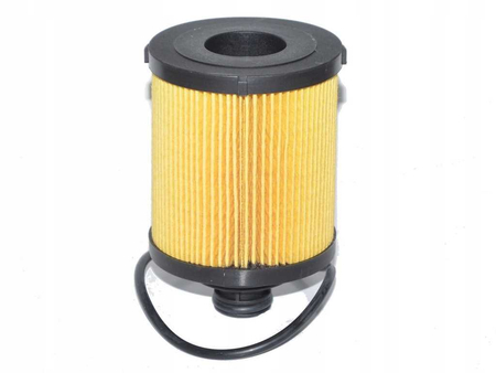 FT38068 FILTR OLEJU FIAT PANDA 03- 1.3JTD