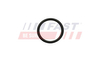 FT49926 ORING FIAT DUCATO 06> NAGRZEWNICA