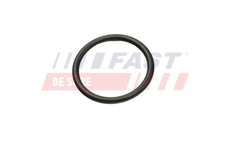 FT49927 ORING FIAT DUCATO 06> OBUDOWA TERMOSTATU 2.2 HDI