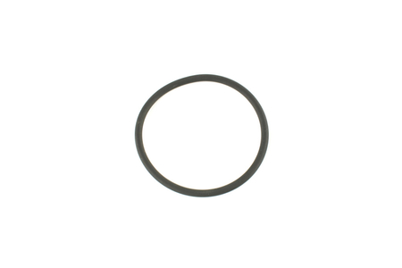 LA 124415 ORING POMPA WSPOMAGANIA IVECO DAILY 06-