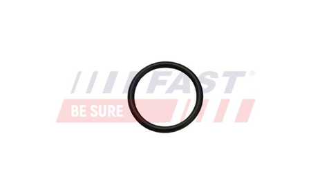 FT49926 ORING FIAT DUCATO 06> NAGRZEWNICA