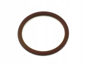 17278481 ORING IVECO 17278481