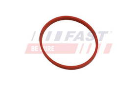 FT49868 USZCZELNIACZ RENAULT KANGOO II 08> RURA EGR 1.5 DCI