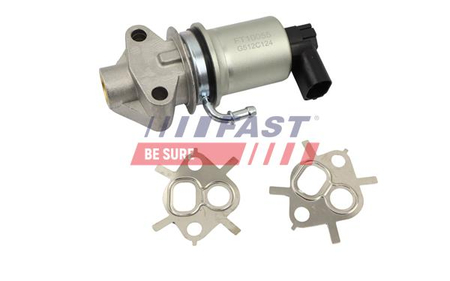 FT10055 ZAWÓR EGR AUDI A3 VW GOLF IV SKODA OCTAVIA 1.6