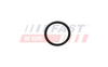 FT49926 ORING FIAT DUCATO 06> NAGRZEWNICA