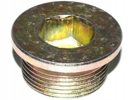 FT94717 KOREK MISY OLEJU FIAT DUCATO 02- 2.5 D M22X1.5X10