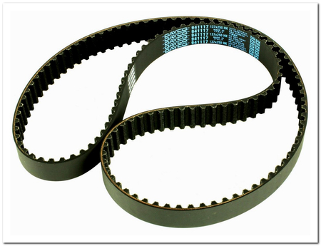 DY 941117 PASEK ROZRZĄDU FIAT SCUDO 07> 1.6 JTD