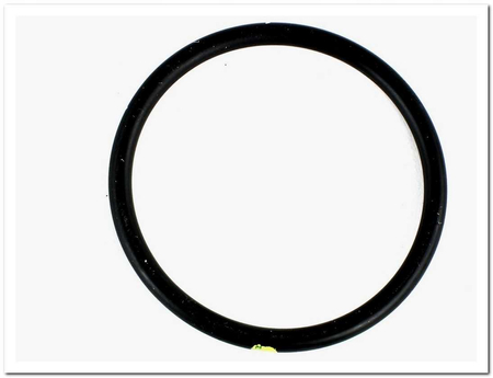 17289680 ORING POMPY WODY MAŁY IVECO DAILY 00- 2.3JTD