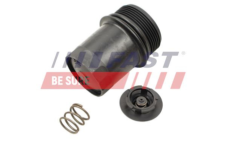 FT38202 OBUDOWA FILTRA OLEJU RENAULT KANGOO III 21>